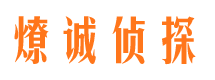 仁布市场调查